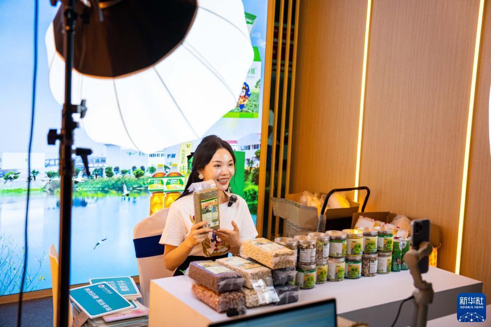 申请彩金